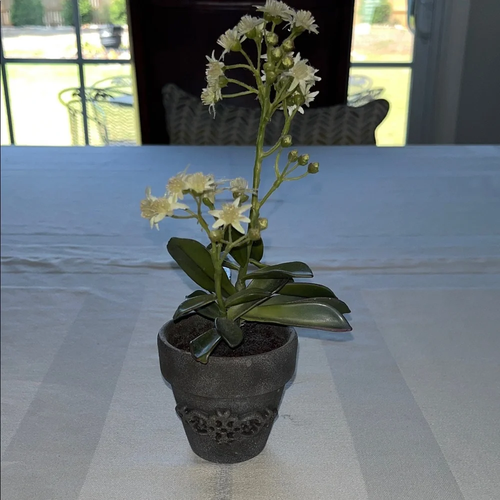 Bella Lux Bathroom Accessories Set Of Two Silver Tumbler Plus A Planter